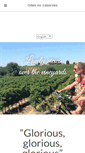 Mobile Screenshot of carcassonne-holidays.com